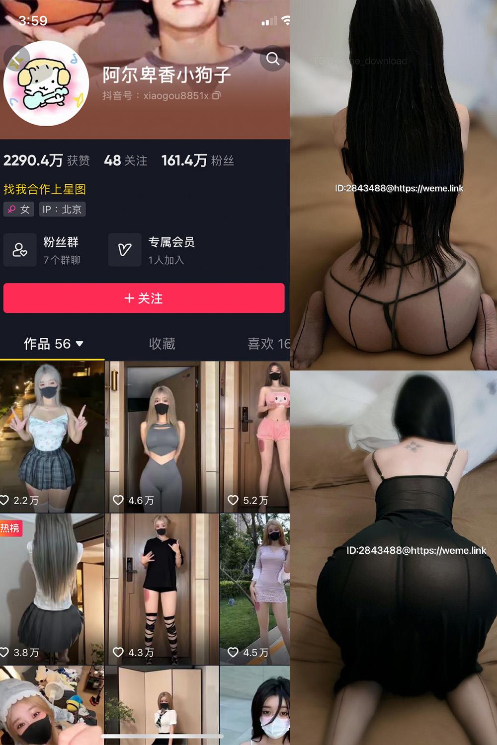 抖音 阿尔卑香小狗子 微密圈图包资源  NO.057期 【36P1V】