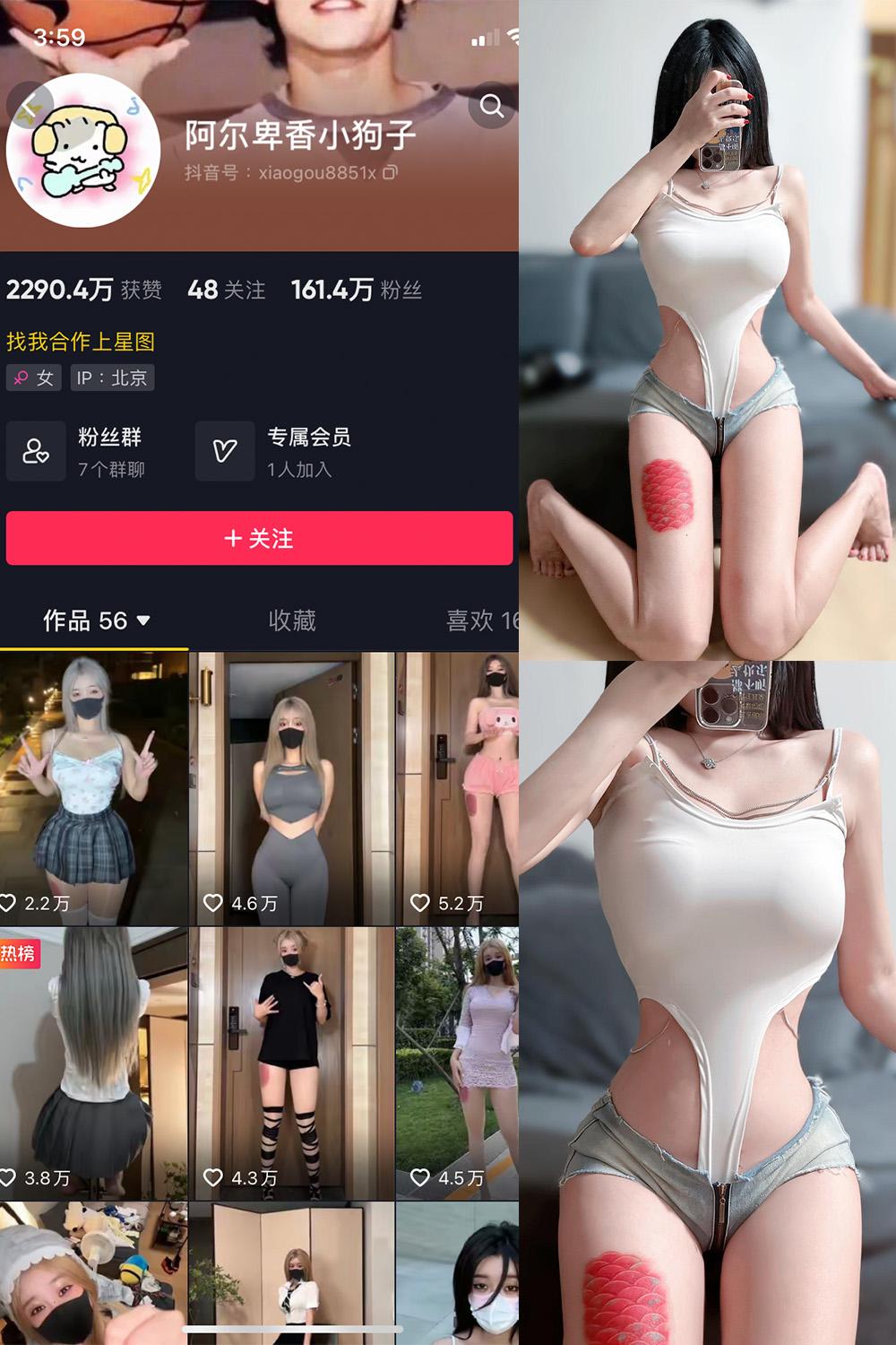 抖音 阿尔卑香小狗子 微密圈图包资源  NO.020期 【17P】