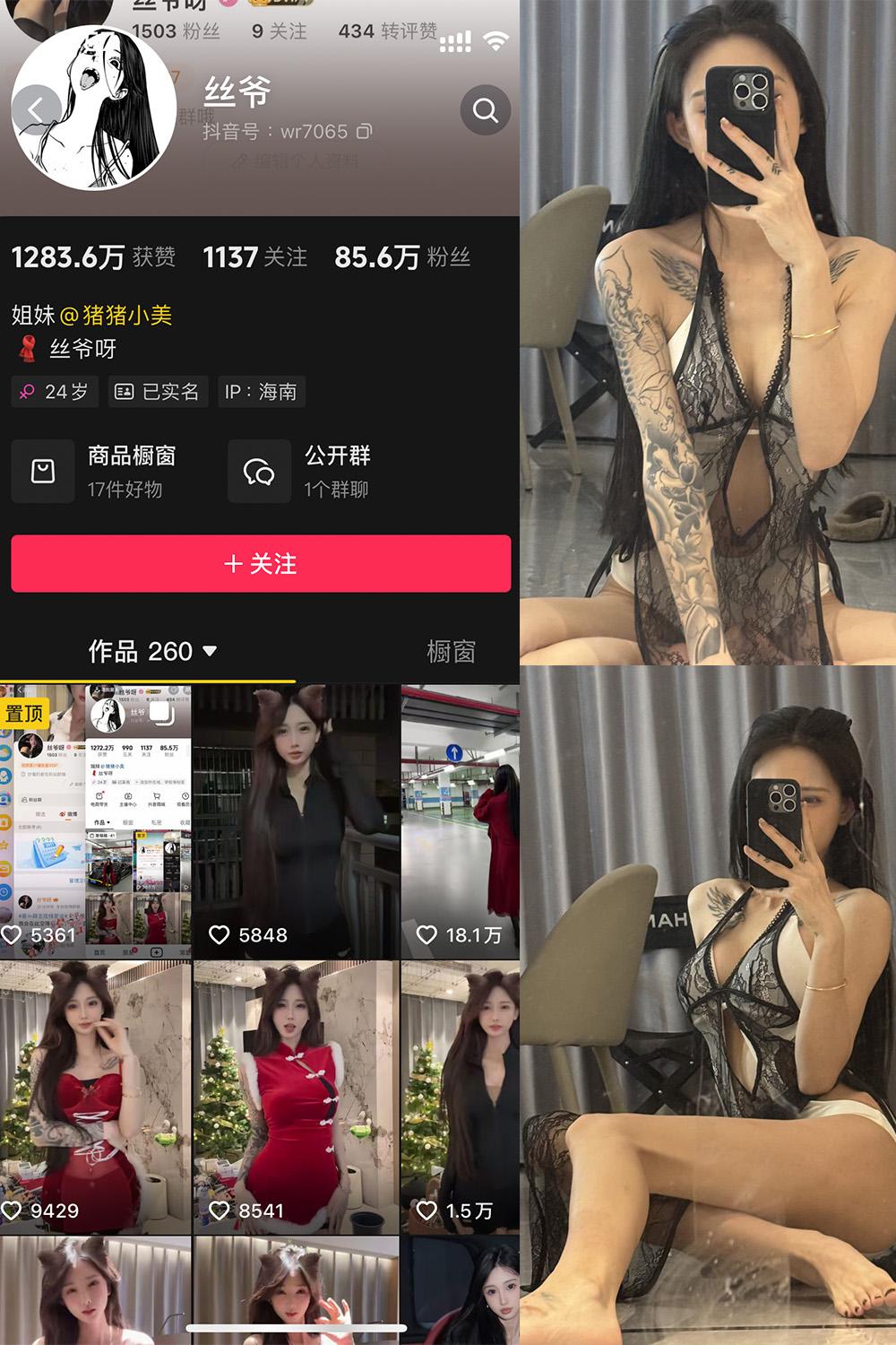 抖音 丝爷 微密圈图包资源 NO.003期 【52P4V】